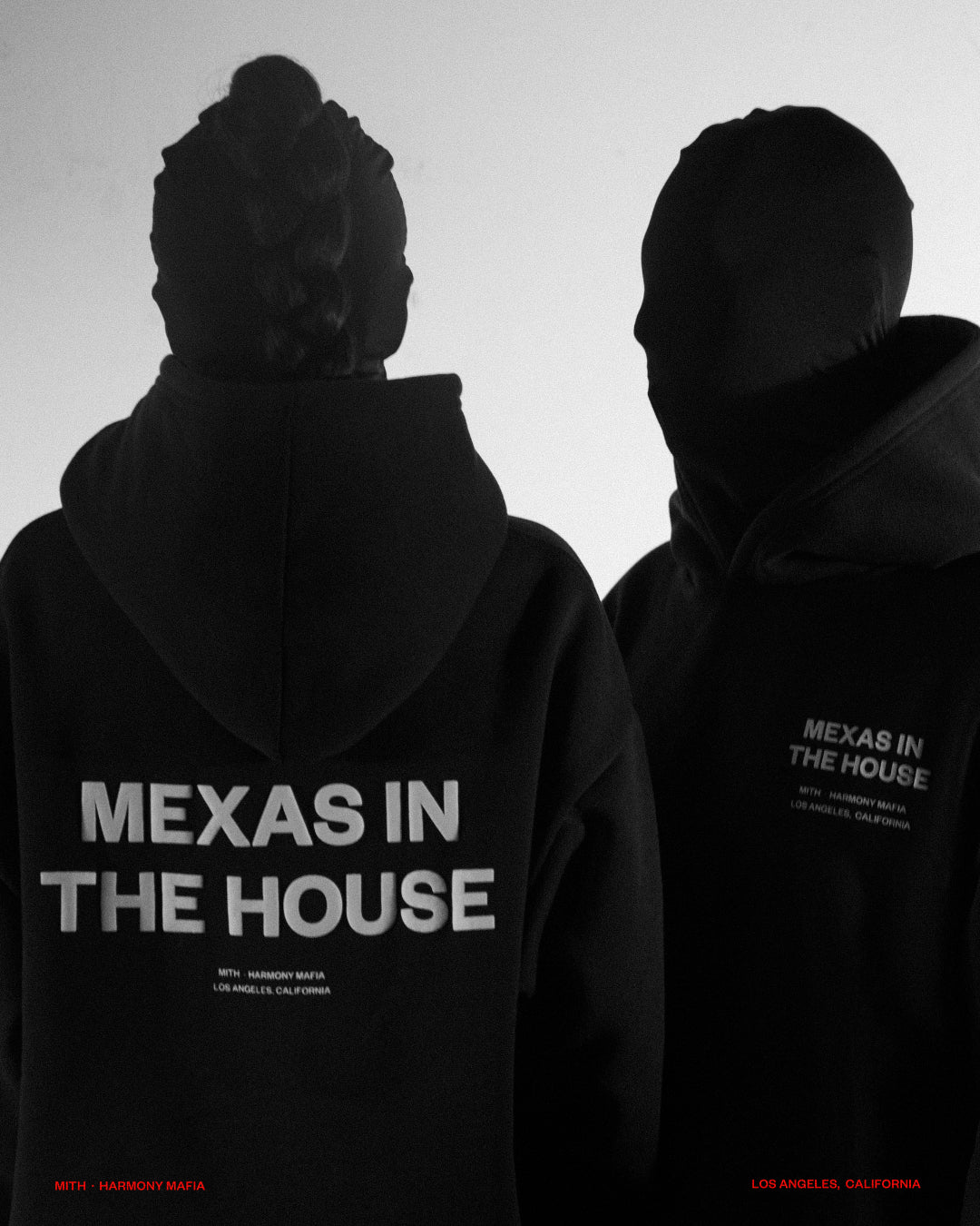MEXAS IN THE HOUSE HOODIE
