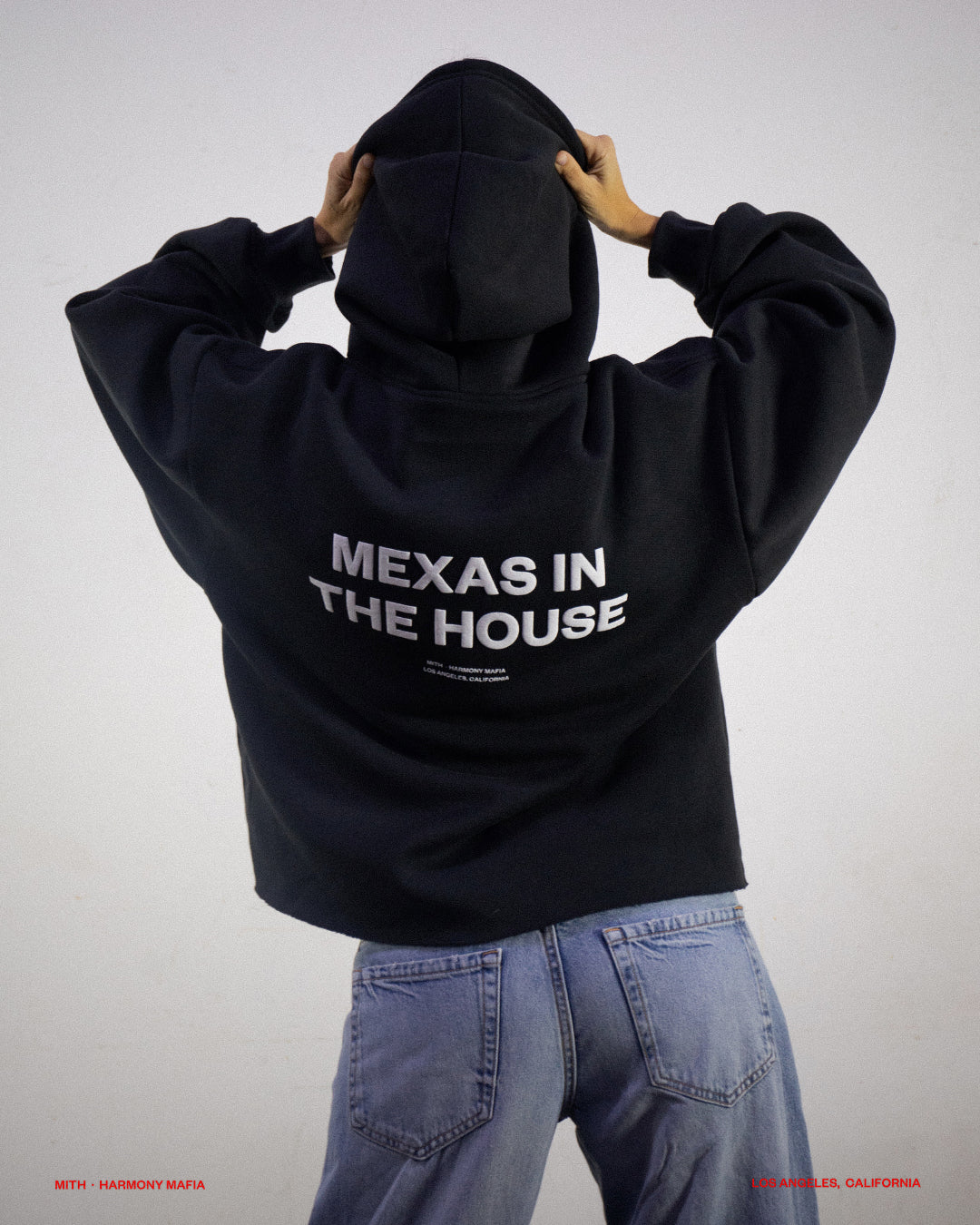 MEXAS IN THE HOUSE HOODIE