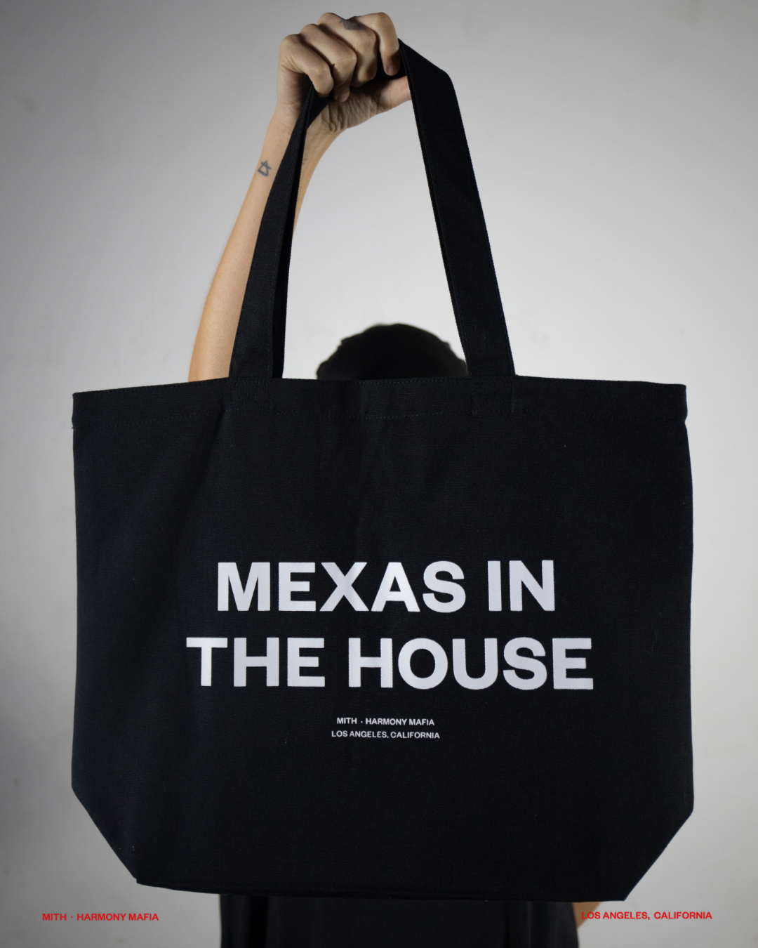 MEXAS IN THE HOUSE TOTE BAG