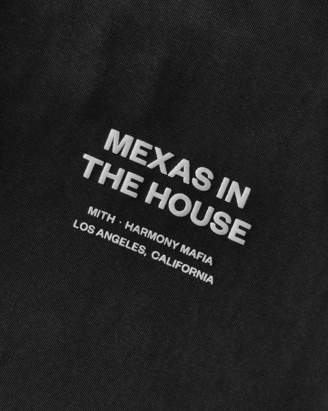 MEXAS IN THE HOUSE T-SHIRT