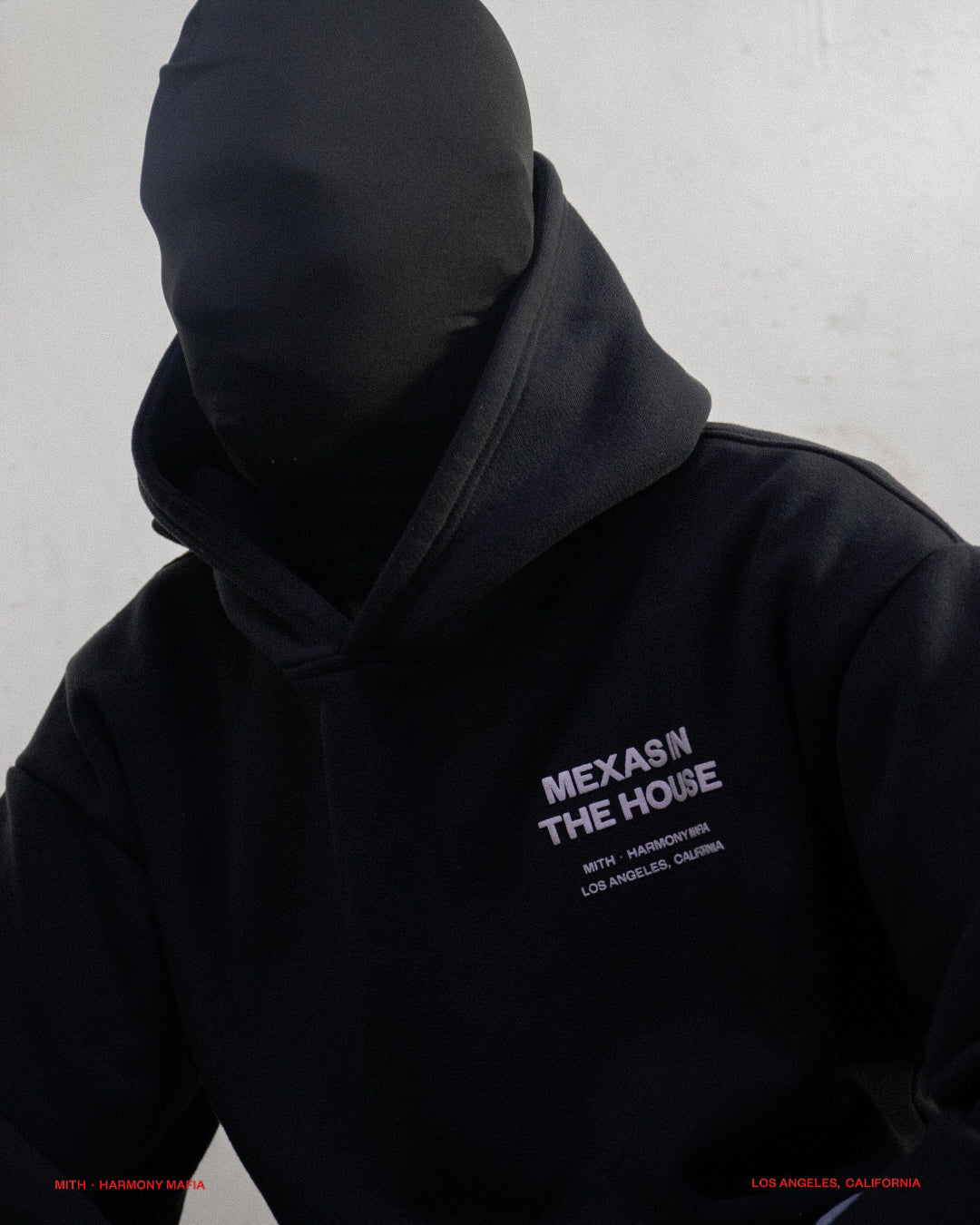 MEXAS IN THE HOUSE HOODIE