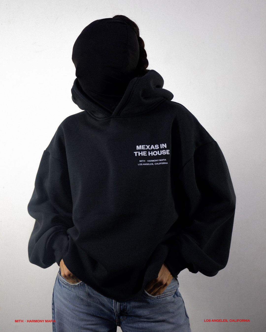 MEXAS IN THE HOUSE HOODIE