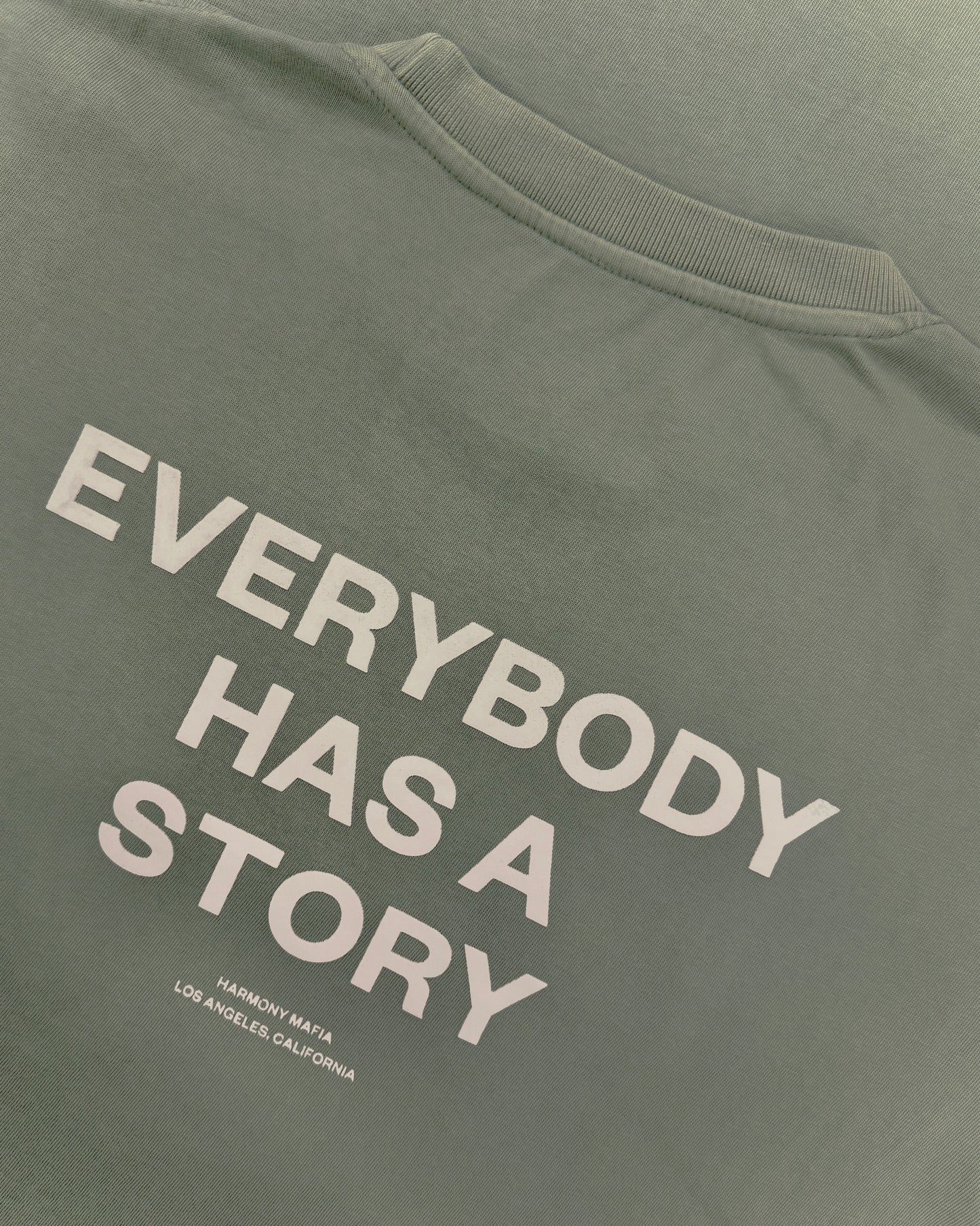 EVERYBODY HAS A STORY T-SHIRT MATCHA LATTE