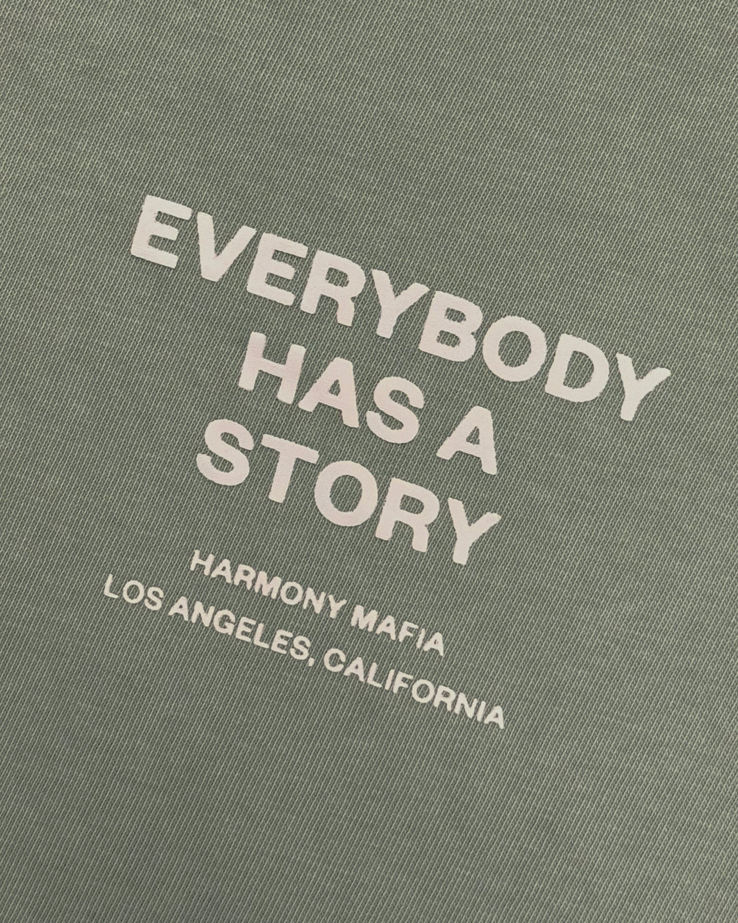 EVERYBODY HAS A STORY HOODIE MATCHA LATTE