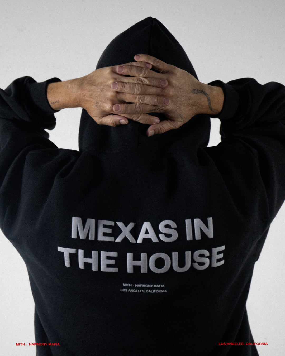 MEXAS IN THE HOUSE HOODIE