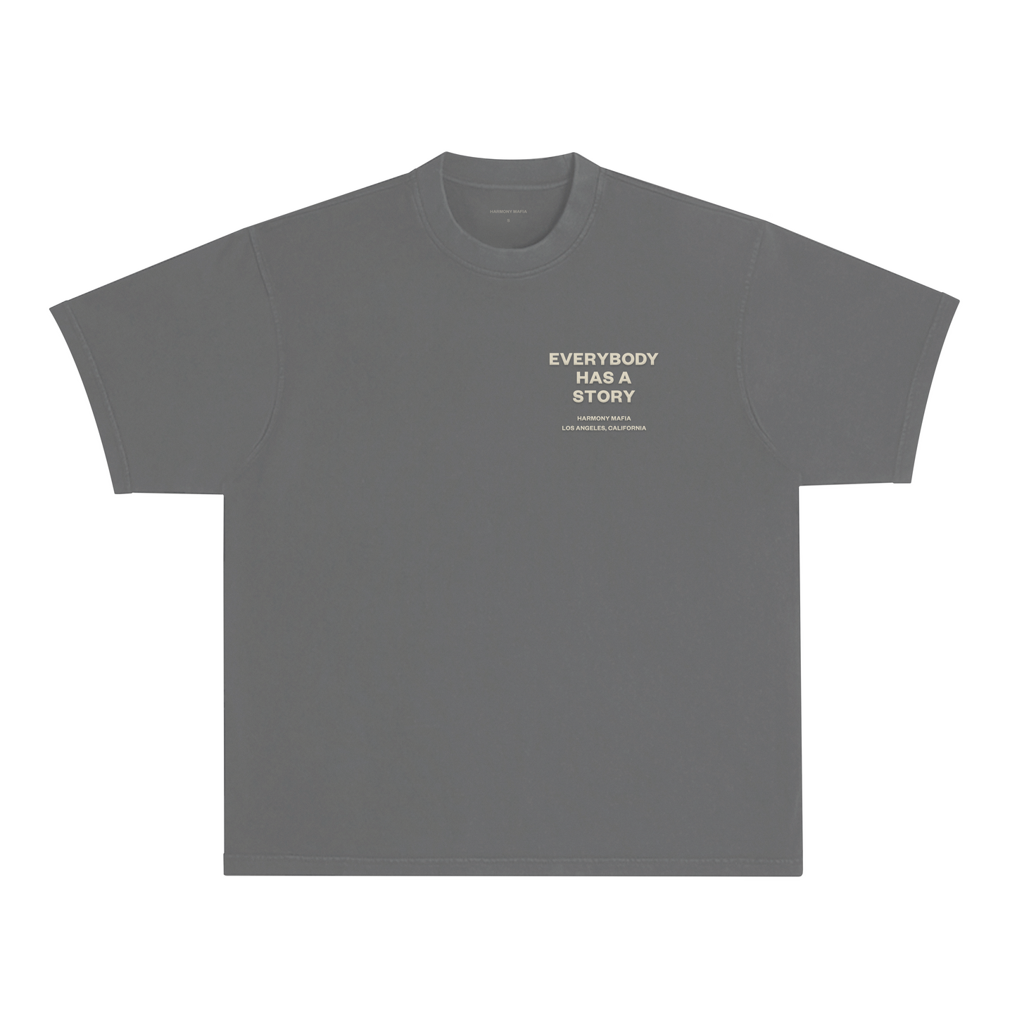 EVERYBODY HAS A STORY T-SHIRT ASH BLACK