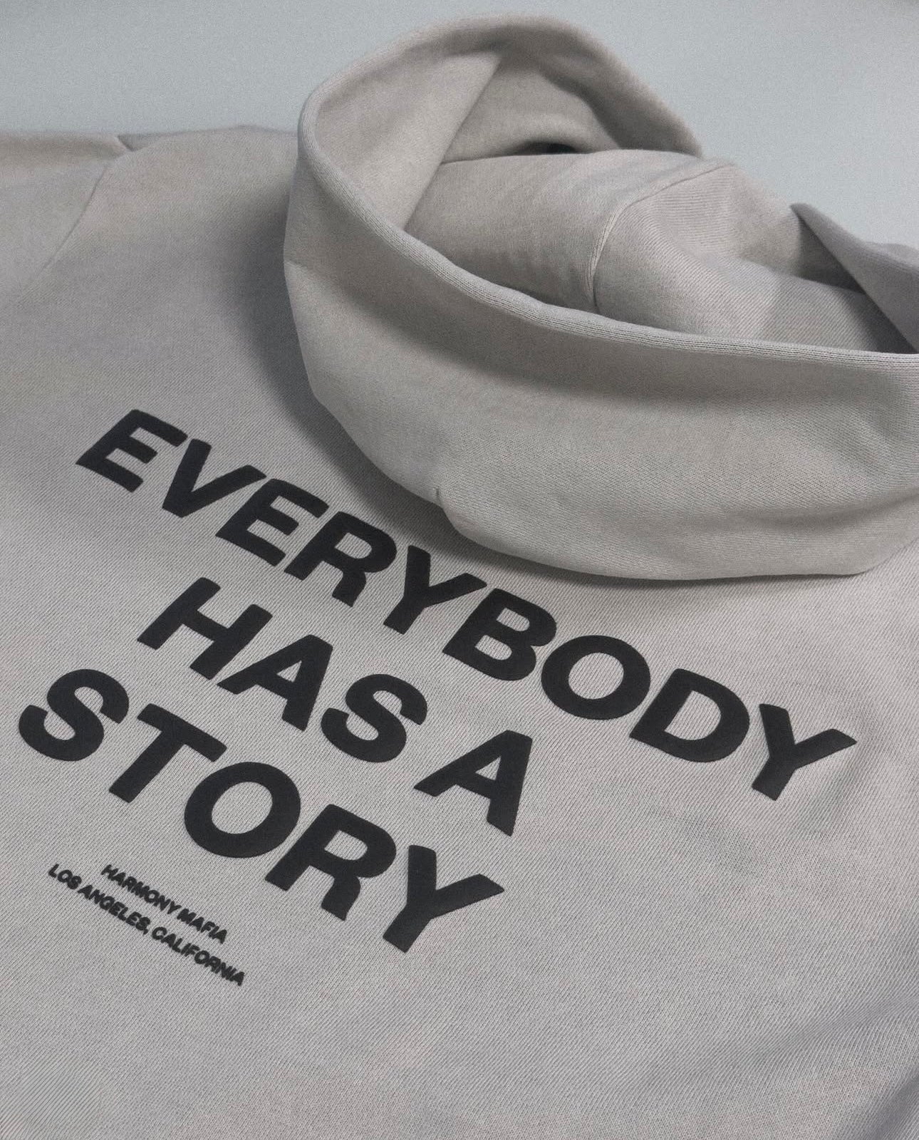 EVERYBODY HAS A STORY HOODIE CEMENT