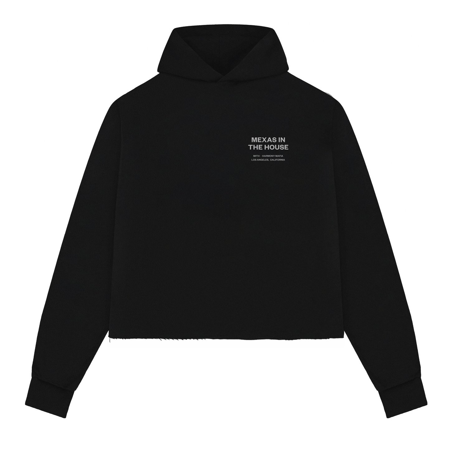 MEXAS IN THE HOUSE HOODIE