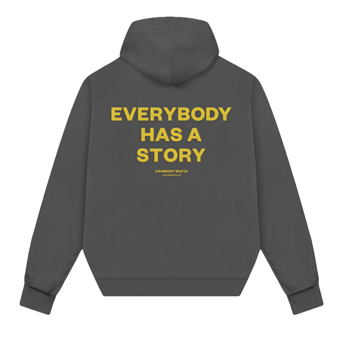 EVERYBODY HAS A STORY HOODIE ASH BLACK